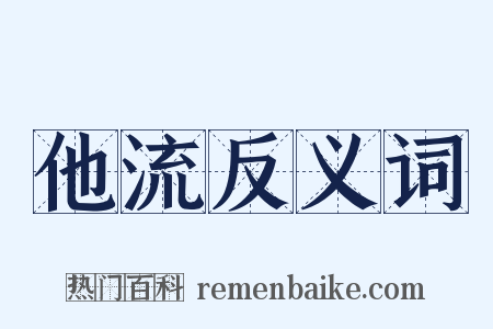 他流反义词是什么意思的图片